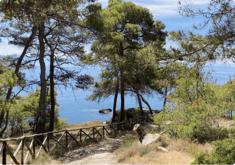 Isole Tremiti - natura